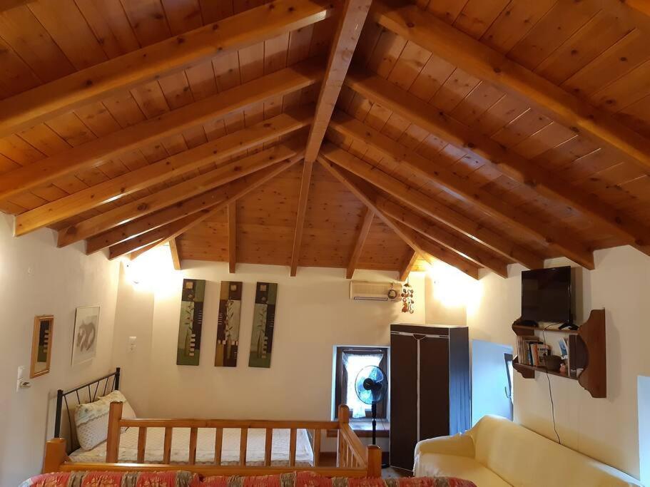 Kouros Villa! Paltsi Pilion 외부 사진