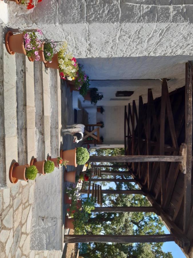 Kouros Villa! Paltsi Pilion 외부 사진