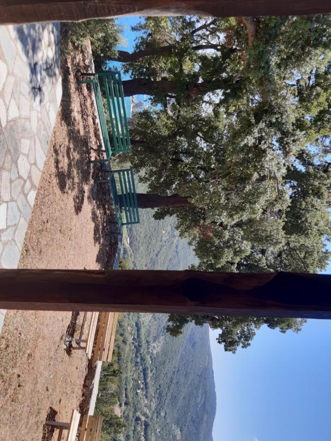Kouros Villa! Paltsi Pilion 외부 사진