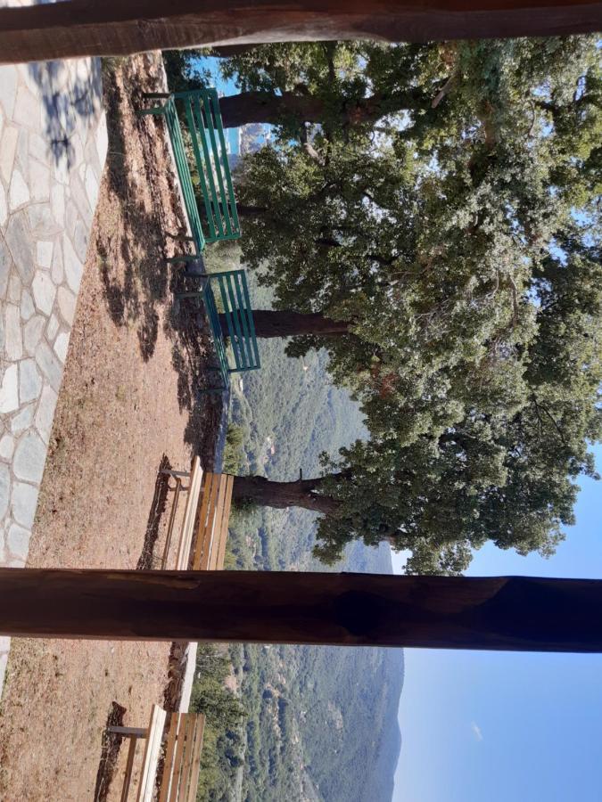 Kouros Villa! Paltsi Pilion 외부 사진
